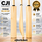 CJI Plain bat ebay advert knocking in available